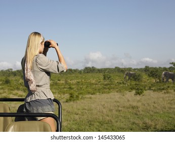 Rear View Of A Young Blond Woman On Safari Standing In Jeep Looking Through Binoculars