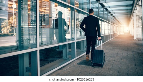 Rear view of young businessman walking outside public transport building with luggage. Business traveler pulling suitcase in modern airport terminal.