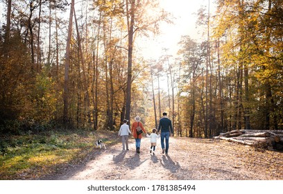 Rear View Of Young Family With Small Children And Dog On A Walk In Autumn Forest.