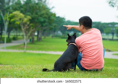 Rear view of a young man sitting on the grass and showing something to his dog 
