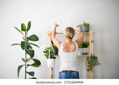 Rear View Of Young Woman Indoors At Home, Arranging Plants On Shelf.