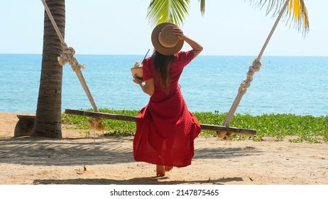 Rear view of young woman sit on swing at sand beach, drink fresh coconut juice during hot sunny summer day. Beautiful blue sea on background. Travel on holidays or vacations to tropical country. - Powered by Shutterstock