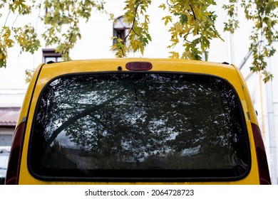 Rear Window Car Stickers Mock Up Car Vinyl Decal Outdoors Autumn