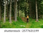 rear young male with a backpack hiking on trail up peaceful lush high elevation green forest. Young man hike outdoors, found mountain forest. Backpacker walking on fallen tree