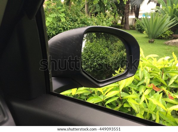 rearview car driving\
mirror view green\
forest