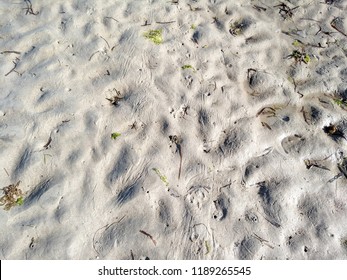 Receding tide on the beach. Sand on the beach as background. Texture fine sand beach in sunny day. background and texture of sand pattern on a beach in summer. - Powered by Shutterstock