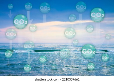 Recent scientific research shows that 33% of anthropogenic CO2 Carbon dioxide emissions are absorbed by the oceans causing warming of the seas and acidification of the waters  - Shutterstock ID 2210339661
