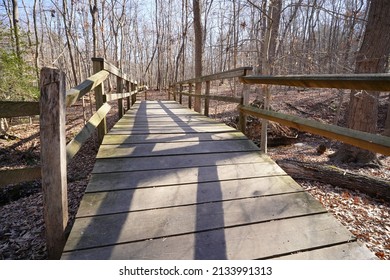 Recent Wooden Bridge In The Woods Of The Greenbelt National Park (College Park, Prince George County, Maryland, USA).