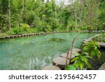 Recently popular attraction Ban Nam Rad Watershed Forest at Khiri Rat Nikhom district, Surat Thani province, Thailand.