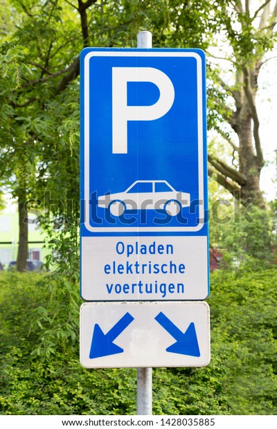Recharging point for electric\
vehicles sign in Dutch language. Shot against a green foliage\
background.\
