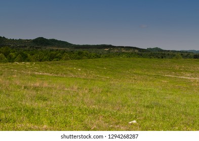 Reclaimed Area From An Old Mountaintop Removal Strip Mine In Kentucky