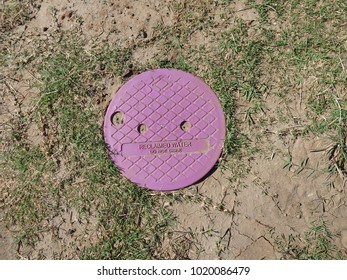 Reclaimed Water Purple Trap Door.