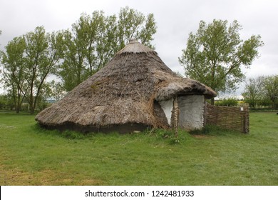 Reconstruction Of A Neolithic Roundhouse At Flag Fen Archaeological Park, Peterborough, England.