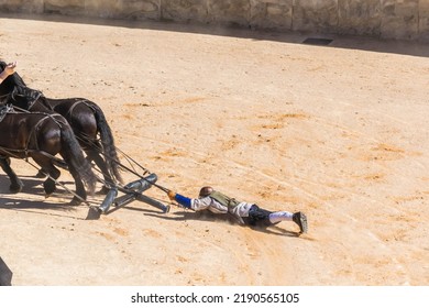 Reconstruction Of A Roman Chariot Race