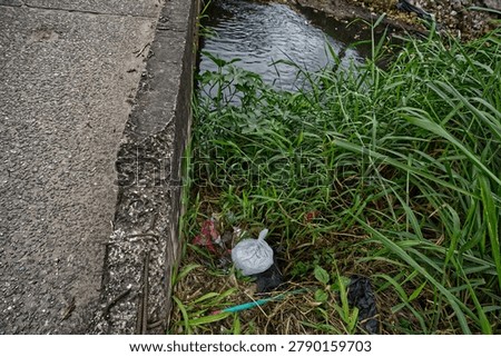 Record of improper disposal of solid waste and water pollution in an urban drainage channel with vegetation