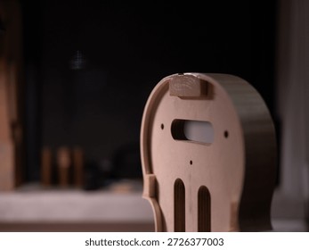 A record of a violin maker's process of creating a handmade violin codenamed "3r691".