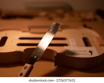 A record of a violin maker's process of creating a handmade violin codenamed "3r691".