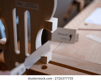 A record of a violin maker's process of creating a handmade violin codenamed "3r691".