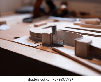 A record of a violin maker's process of creating a handmade violin codenamed "3r691".