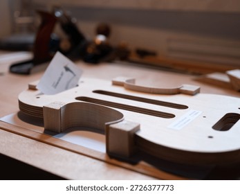 A record of a violin maker's process of creating a handmade violin codenamed "3r691".