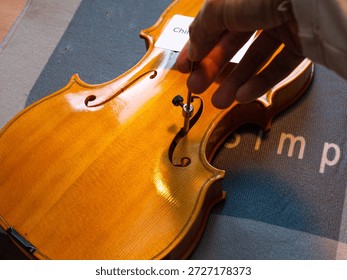 A record of a violin maker's process of creating a handmade violin codenamed "3r691".