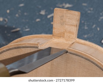 A record of a violin maker's process of creating a handmade violin codenamed "3r691".