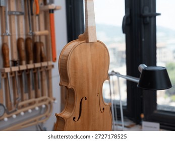 A record of a violin maker's process of creating a handmade violin codenamed "3r691".