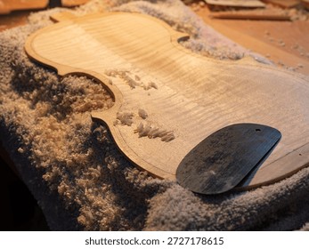 A record of a violin maker's process of creating a handmade violin codenamed "3r691".