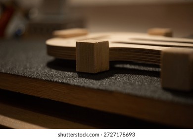 A record of a violin maker's process of creating a handmade violin codenamed "3r691".