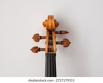 A record of a violin maker's process of creating a handmade violin codenamed "3r691".