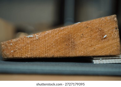 A record of a violin maker's process of creating a handmade violin codenamed "3r691".