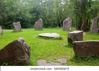 Recreated Druid Circle In Irish National Heritage Park