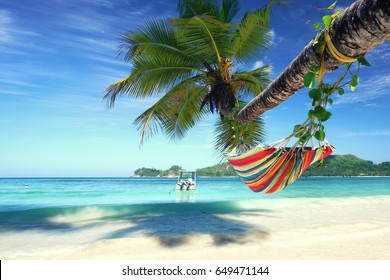 Recreation Hammock Tropical Beach Stock Photo 649471144 | Shutterstock