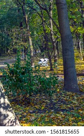 Recreation Park.  Not Far From The Asphalt Path Near The Tree Is A Double Pram.  Young Mothers Nearby, But Not In The Frame