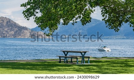 Recreational area under the crown of big chestnut tree with the lake overview