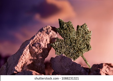 Recreational cannabis legalization in Canada. A huge maple leaf made from dry weed, leant against the rock. The  Canadian emblem incorporated into the mountain landscape, over the sunset background.  