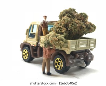 Recreational Marijuana For Delivery