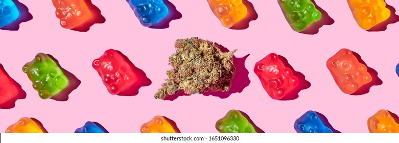 Recreational Marijuana With Gummy Bears On A Pink Background Banner