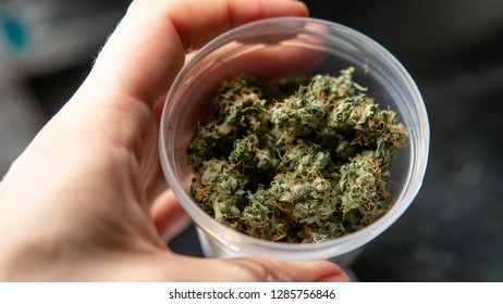 Recreational marijuana strain. Sativa THC harvest in details.