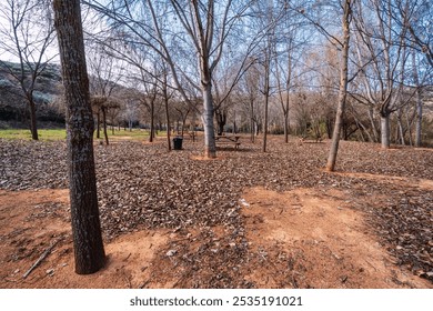 Recreational park with wooden tables and bins for waste with leafless trees in autumn - Powered by Shutterstock