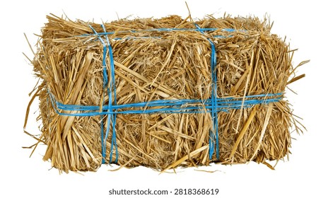 Rectangular bale of dried golden straw tied with bright blue plastic twine