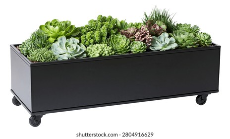 Rectangular black metal planter box filled with assorted green succulent plants