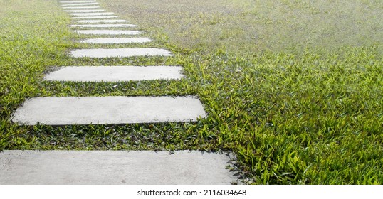 Rectangular Bricks Walk Way On The Lawn With Copy Space