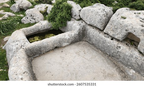 A rectangular collection basin and crushing trough carved into the rock, forming an ancient wine press workshop, located in the ruins of Sakizlik, in the Saglikli neighborhood of Tarsus, Mersin.