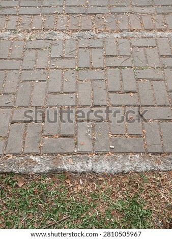 A rectangular concrete paver walkway laid in a herringbone patter