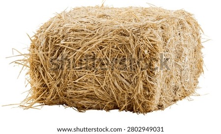 Rectangular dry golden yellow hay bale for farm animal feed