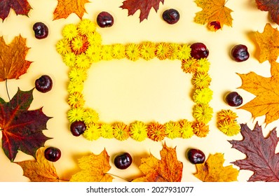 Rectangular frame made of yellow chrysanthemum flowers. Yellow and brown autumn leaves of maple and oak, as well as chestnuts on light yellow background. Fall concept. Template for text