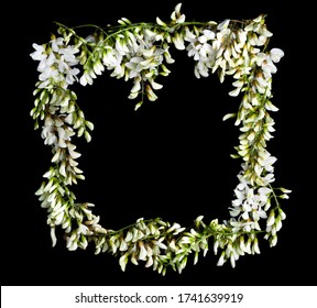Rectangular frame woven from clusters of flowers of white acacia