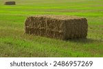 Rectangular Hay Bale In A Field