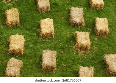 Rectangular hay bales scattered across a vibrant green grass field, creating a rustic countryside scene.